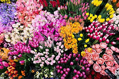 《恶魔城GBA合集》今日上市 包含四款经典2D恶魔城游戏